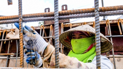 Dự báo thời tiết 12/7/2024: Bắc Bộ oi nóng, đề phòng mưa giông vào chiều tối