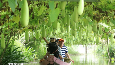 ទេសចរណ៍ជនបទ និងកសិកម្ម - និន្នាការពេញនិយម