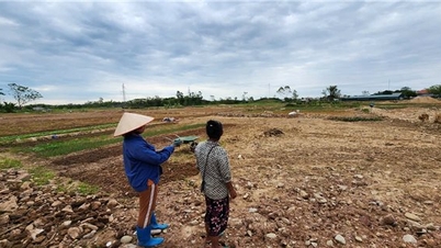 Tựa vai đứng dậy sau lũ dữ