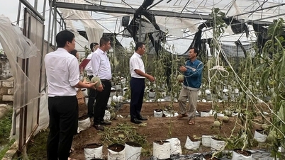 Agribank ផ្តល់អត្រាការប្រាក់កម្ចីអនុគ្រោះដល់អតិថិជនដែលរងផលប៉ះពាល់ដោយព្យុះ និងទឹកជំនន់