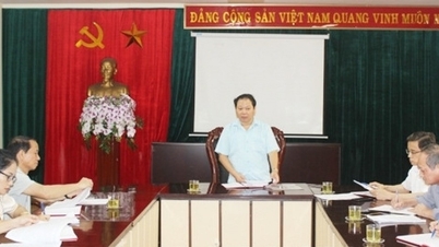 ចំណាត់ការ​វិន័យ​ចំពោះ​នាយករង​ការិយាល័យ​ប្រៃសណីយ៍​ខេត្ត Hai Duong លោក Dao Duy Toan