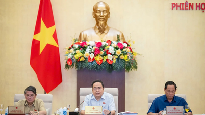 Will monitor the development and use of human resources nationwide.