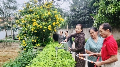 Một vùng quê nông thôn mới ở Vĩnh Phúc giàu, đẹp, đường hoa nông thôn mới sạch như phim