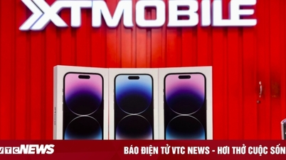 ទូរស័ព្ទ iPhone 14 ស្រាប់តែ 'ធ្លាក់ដល់បាត' តម្លៃថោកដូច iPhone 13