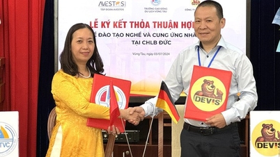 Nhiều trường cao đẳng ký kết đào tạo nghề, cung ứng nhân lực tại Đức