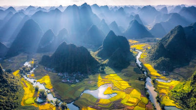 Schöne reife Reissaison in Trung Khanh, Cao Bang