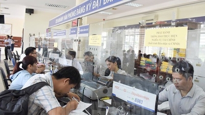 Ngay ngày đầu có quyết định "gỡ" thuế, hơn 1.800 hồ sơ đất đai được xử lý