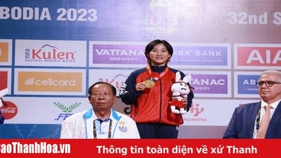 Golden day of martial arts!