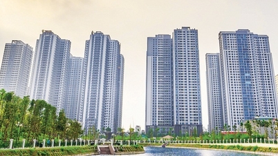 មេដឹកនាំជាន់ខ្ពស់ TNS Holdings លាលែងពីតំណែង