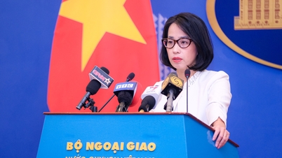 ក្រសួងការបរទេស៖ ពលរដ្ឋវៀតណាមនៅមជ្ឈិមបូព៌ាបច្ចុប្បន្នមានសុវត្ថិភាព