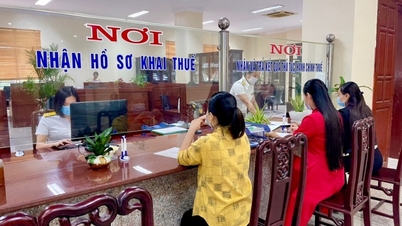 Năm 2023, ngành Thuế Ninh Bình thu ngân sách gần 14.000 tỷ đồng