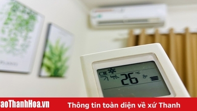 Vest, điện và ứng xử