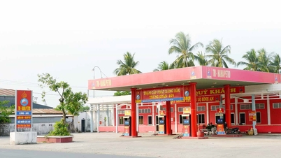 ទីផ្សារ​ប្រេង​ត្រូវ​បញ្ឈប់​ឧក្រិដ្ឋកម្ម​នៅ​ខាងក្រោយ 'ចាប់​ចោរ​ដោយ​ដៃ​ទទេ'