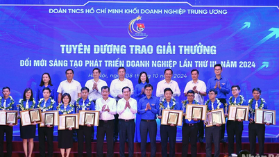 គម្រោងយុវជនចំនួន 10 បានឈ្នះពានរង្វាន់ "ការច្នៃប្រឌិត - ការច្នៃប្រឌិត"