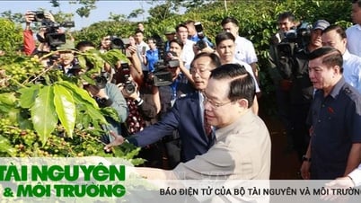 Chủ tịch Quốc hội thăm vùng trồng và dự Lễ khánh thành Nhà máy chế biến cà phê Sơn La