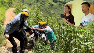 Tình hình giờ ra sao?