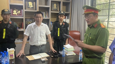 Arrest of defendant Nguyen Khanh Hung, Chairman of the Board of Directors of LDG Investment Joint Stock Company