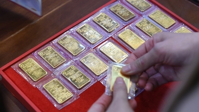 SJC cao hơn thế giới 11,7 triệu đồng/lượng
