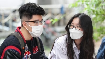 V-SAT không phải là bài thi của Bộ GD-ĐT trong tuyển sinh đại học
