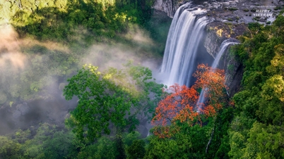 Flammenbaum-Blütezeit am Hang En-Wasserfall, Gia Lai