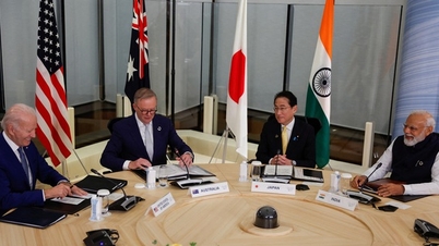 Quad leaders hold summit on sidelines of G7, agree on many contents