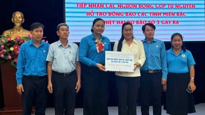 មន្ទីរការងារ យុទ្ធជនពិការ និងសង្គមកិច្ចទីក្រុងហូជីមិញ ឧបត្ថម្ភប្រជាជនរងគ្រោះដោយខ្យល់ព្យុះ និងទឹកជំនន់ចំនួន ១,១ពាន់លានដុង