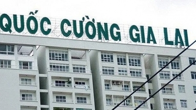 ភាគហ៊ុន Quoc Cuong Gia Lai បន្តមានពណ៌ស្វាយខុសពីធម្មតា។