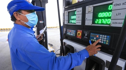 The petroleum stabilization fund has too many risks, should it be maintained?
