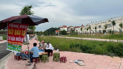 All night land auction in Hoai Duc district: Selling for a difference of 800 million VND