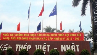 BIDV 26 lần đấu giá khoản nợ của Thép Việt