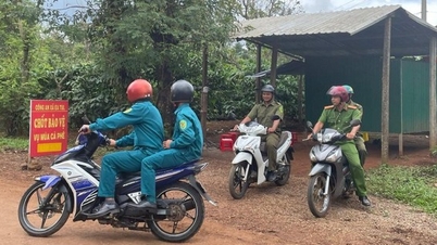 Trắng đêm canh trộm cà phê ở Đắk Lắk, công an lập chốt bảo vệ vụ mùa cho bà con nông dân