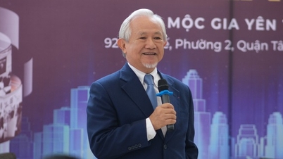 Giáo sư Phan Văn Trường: Thời đại AI, khả năng xây dựng thêm giá trị mới quan trọng