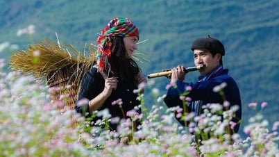 Los medios digitales llevan Ha Giang al mundo