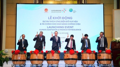 Agribank provides capital to increase adaptability to climate change