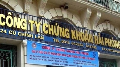 សមាជិកទាំងអស់នៃក្រុមប្រឹក្សាភិបាលនៃក្រុមហ៊ុនមូលបត្របានលាលែងពីតំណែង។