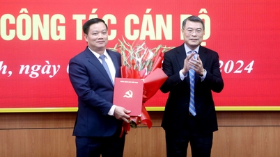 Thái Bình chính thức có Bí thư Tỉnh ủy mới