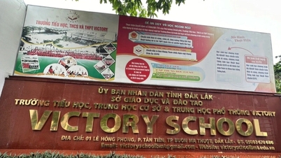 Vụ chậm nộp học phí 2 ngày bị hủy kết quả trúng tuyển: "Lỗi của người lớn"