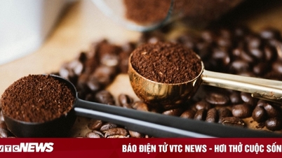 Giá cà phê hôm nay 25/11: Trong nước tăng mạnh, thế giới đứng im