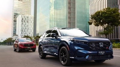 هوندا تستدعي 2965 سيارة CR-V من فيتنام