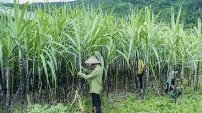Phòng vệ thương mại của Việt Nam thực hiện công bằng, công khai, minh bạch