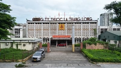 ការបិទគម្រោង "ដីមាស" ចំនួន ៣ ដែលប្រធានទីក្រុងហាណូយ ទើបតែបានបញ្ជាឱ្យដកចេញ