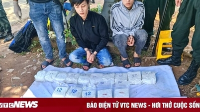 Anh em ruột vận chuyển 20kg nghi ma túy để nhận 60 triệu đồng tiền công