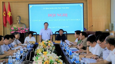 UBND tỉnh: Làm việc với huyện Thái Thụy về các nhiệm vụ phát triển kinh tế - xã hội