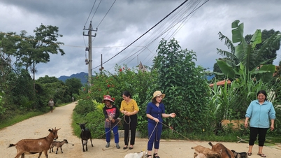 ផ្តល់ 'ដំបងនេសាទ' ដើម្បីជួយអ្នកក្រងើបឡើង