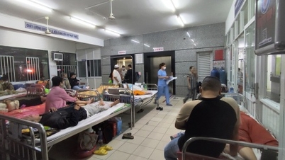 Da Nang informs about shortage of medicine and medical supplies at hospitals