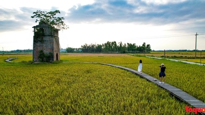 យុវជន "ផ្លាស់ប្តូរខ្យល់" ទៅទស្សនាកន្លែងដុតឥដ្ឋចាស់ដ៏ស្រស់ស្អាតនៅជិតទីក្រុង Hoi An