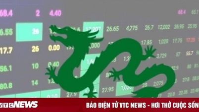 គណៈកម្មការមូលបត្រពិន័យ Dragon Capital