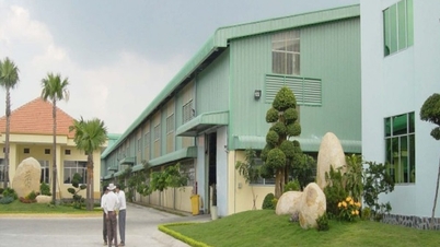 Cổ phiếu Nhựa Tân Đại Hưng (TPC) bị giữ nguyên diện cảnh báo dù đã có lãi trở lại