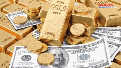 SJC gold increased to 72.12 million VND/tael