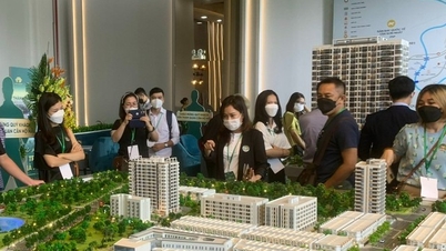 VARS: Căn hộ bình dân “mất dấu” tại Hà Nội và TP.HCM